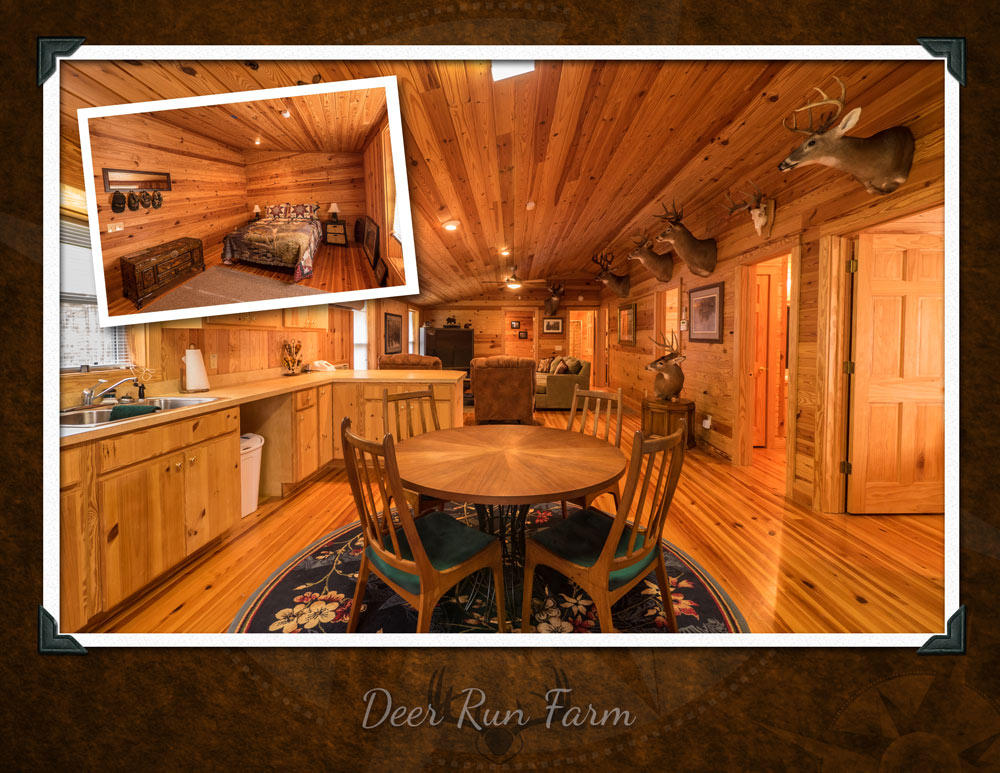 1471 Deliverance Road Ruffin, SC 29475 - Photo 4 of 8 Deer-Run-Farm-unbranded-p4