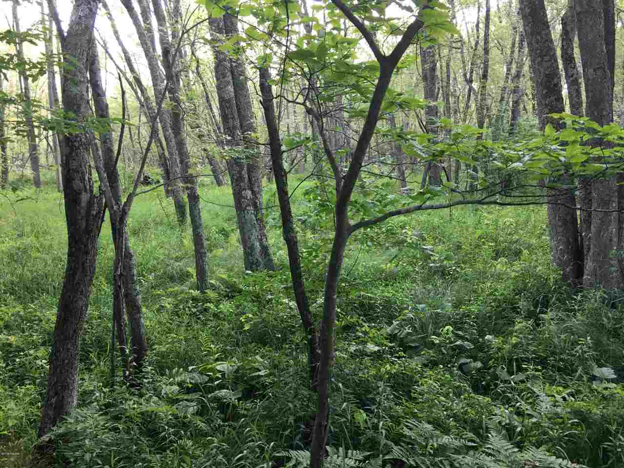 20 East Conrad Road Scottville, MI 49454 - Photo 18 of 18