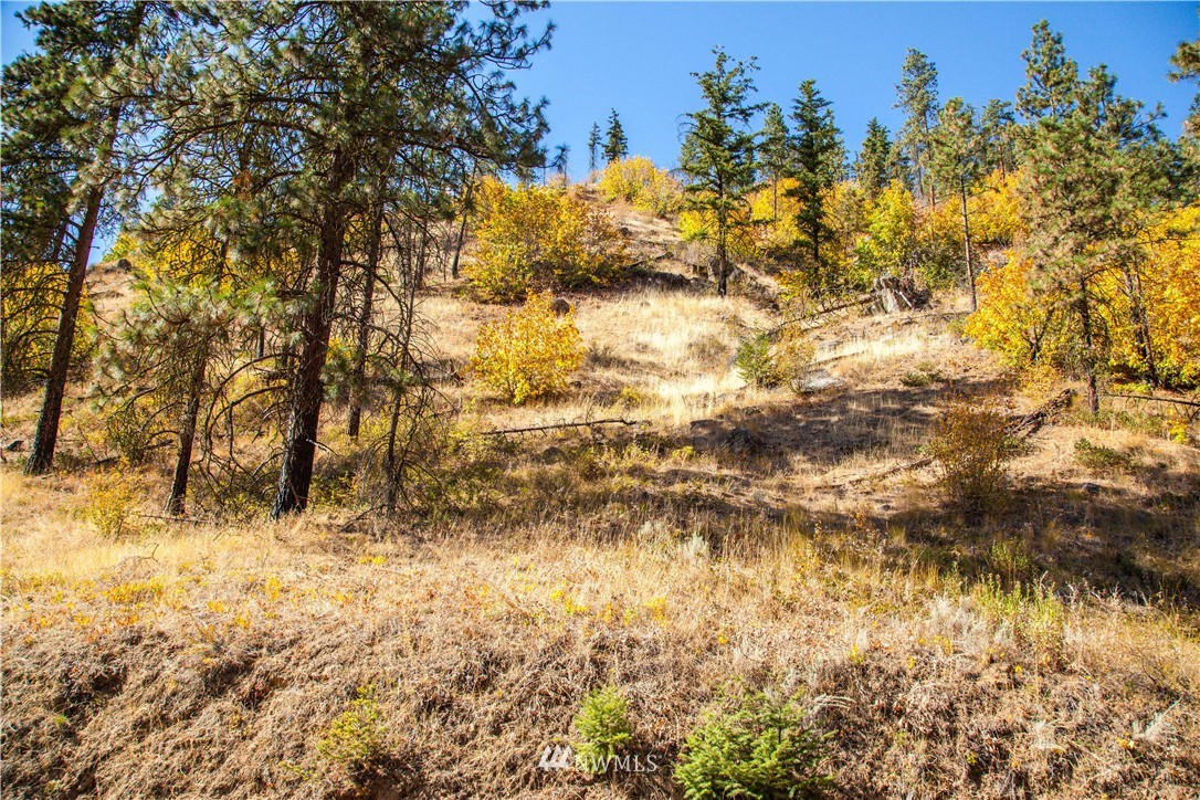 0 Olalla Canyon Road, Unit 4 Cashmere, WA 98815 - Photo 1 of 6 Gallery Image 1
