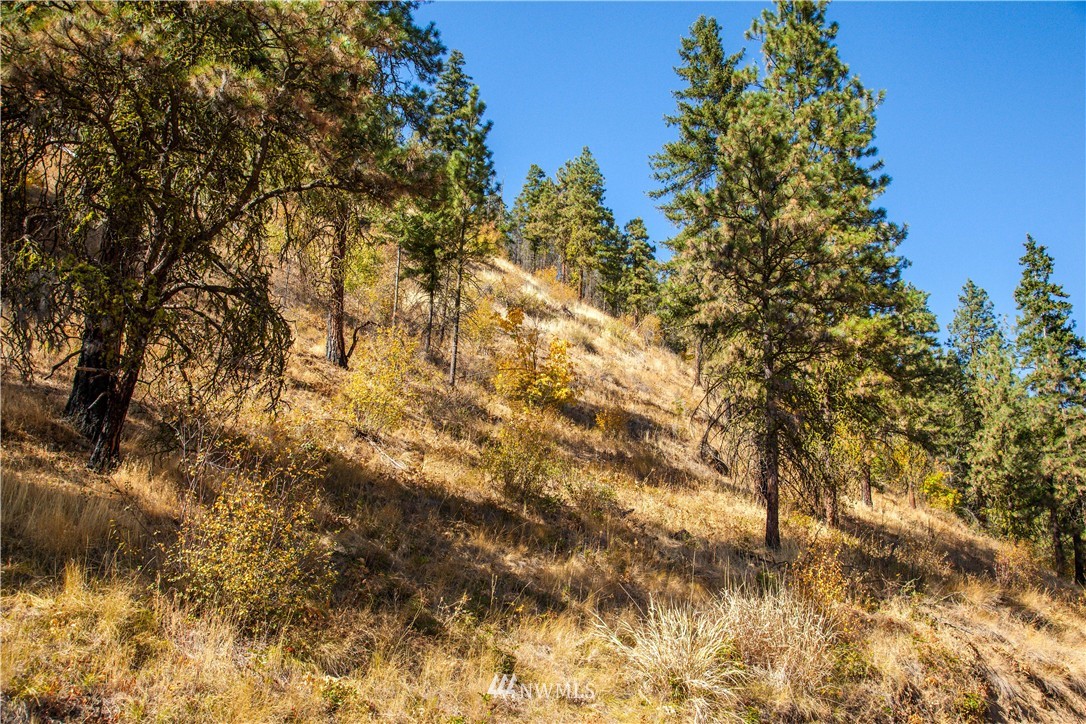 0 Olalla Canyon Road, Unit 4 Cashmere, WA 98815 - Photo 2 of 6 Gallery Image 2