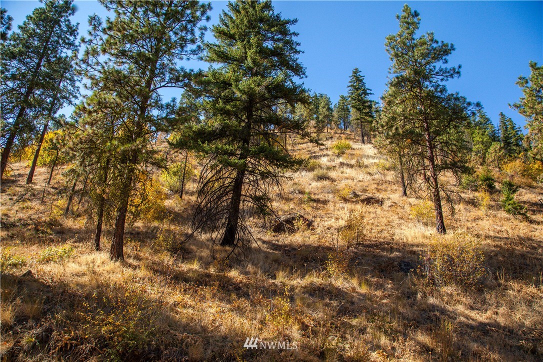 0 Olalla Canyon Road, Unit 4 Cashmere, WA 98815 - Photo 3 of 6 Gallery Image 3