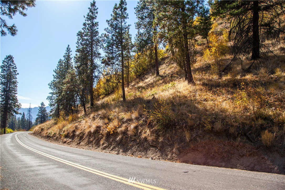 0 Olalla Canyon Road, Unit 4 Cashmere, WA 98815 - Photo 4 of 6 Gallery Image 4