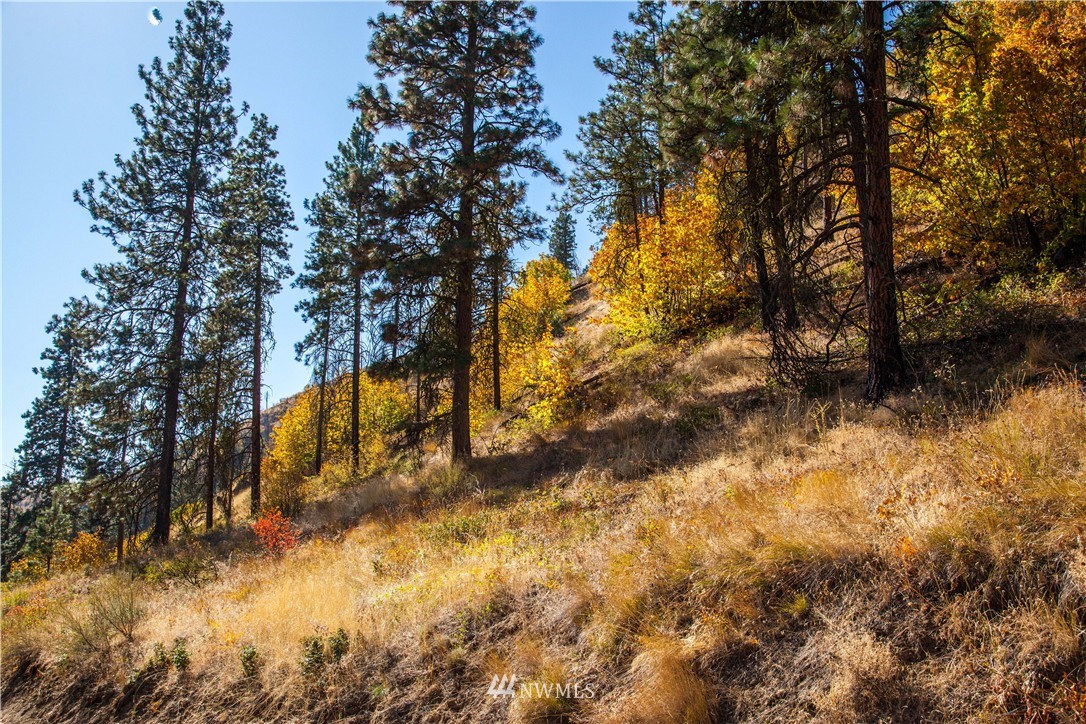 0 Olalla Canyon Road, Unit 4 Cashmere, WA 98815 - Photo 5 of 6 Gallery Image 5