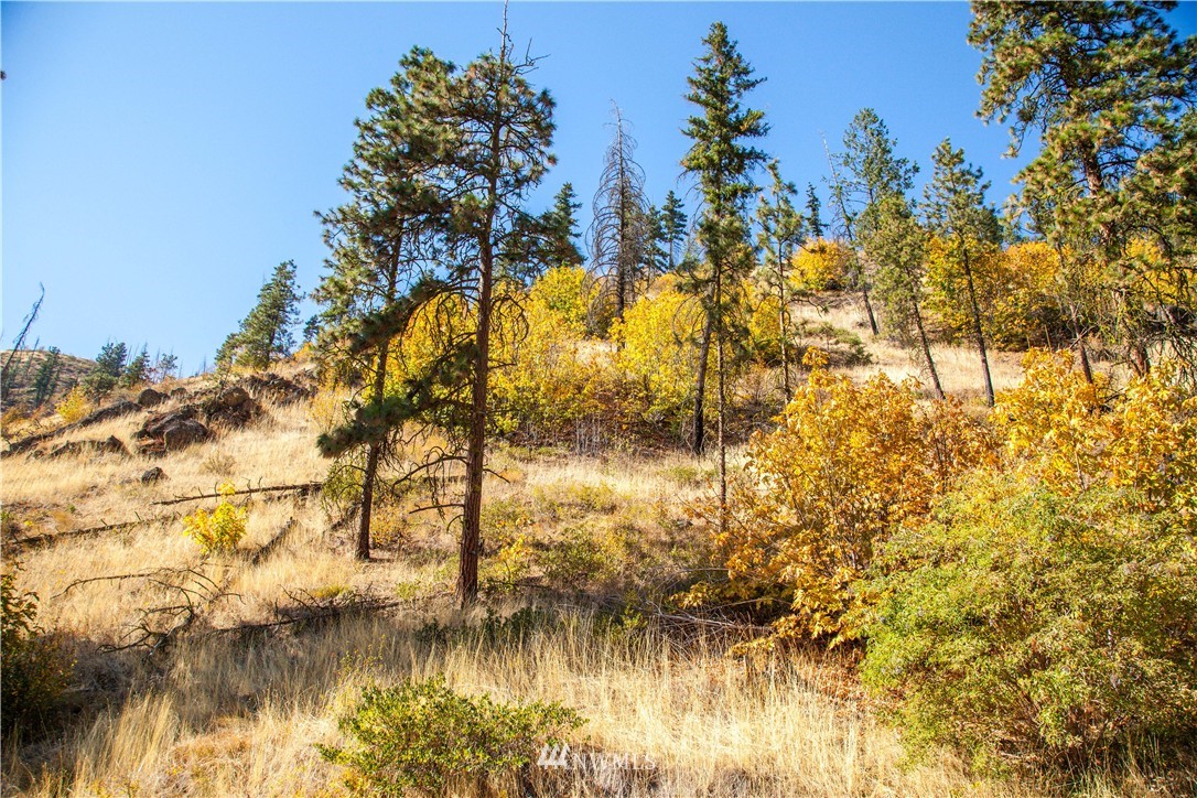 0 Olalla Canyon Road, Unit 4 Cashmere, WA 98815 - Photo 6 of 6 Gallery Image 6