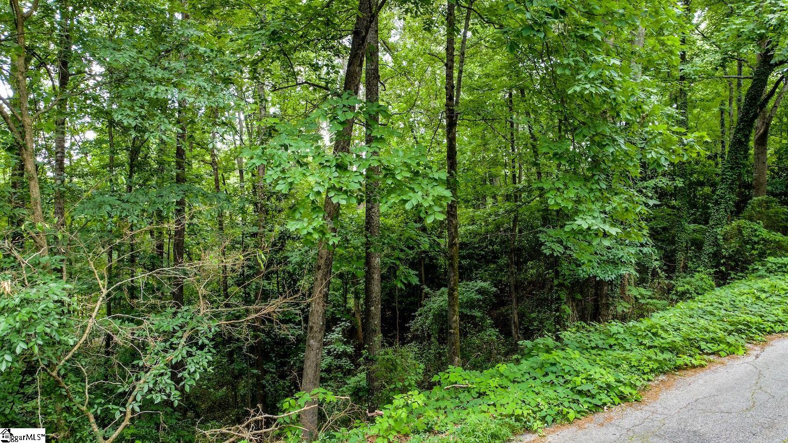 0 Westminster Drive, Unit LOT 35 Pendleton, SC 29670 - Photo 2 of 9