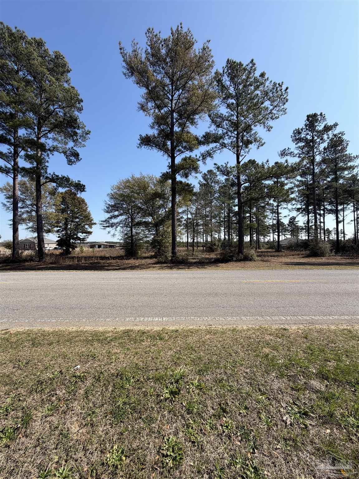 Chumuckla Highway Jay, FL 32565 - Photo 1 of 3