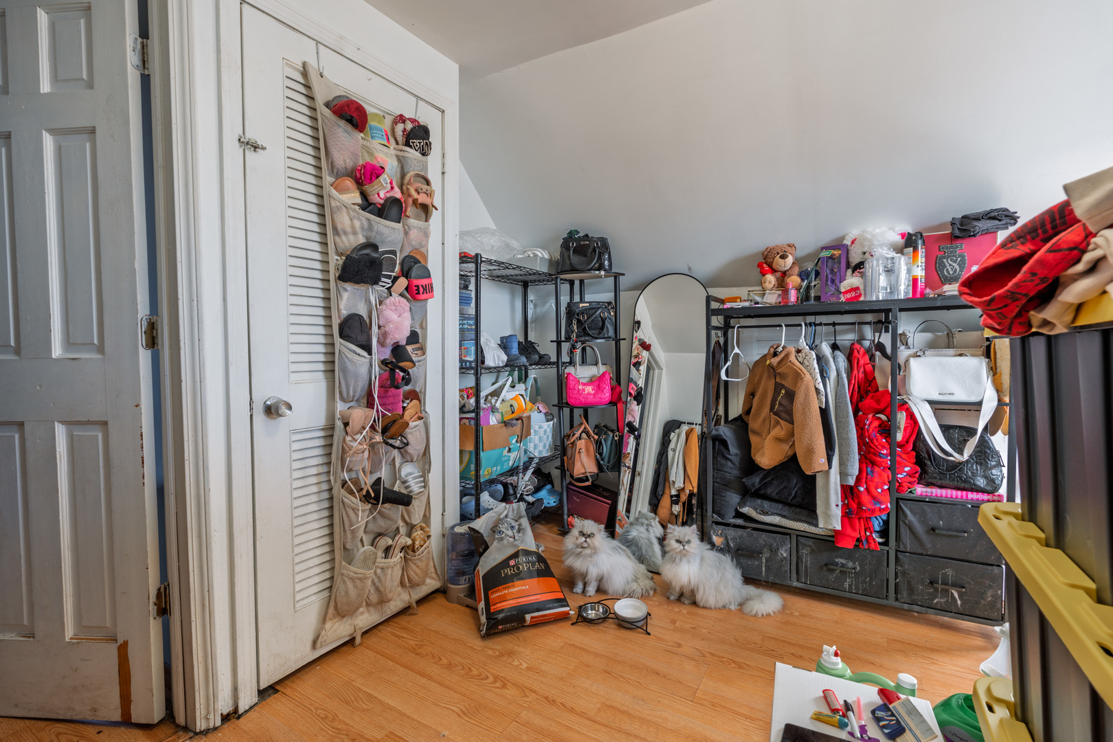 5239 South Troy Street Chicago, IL 60632 - Photo 15 of 21 a view of storage and utility room