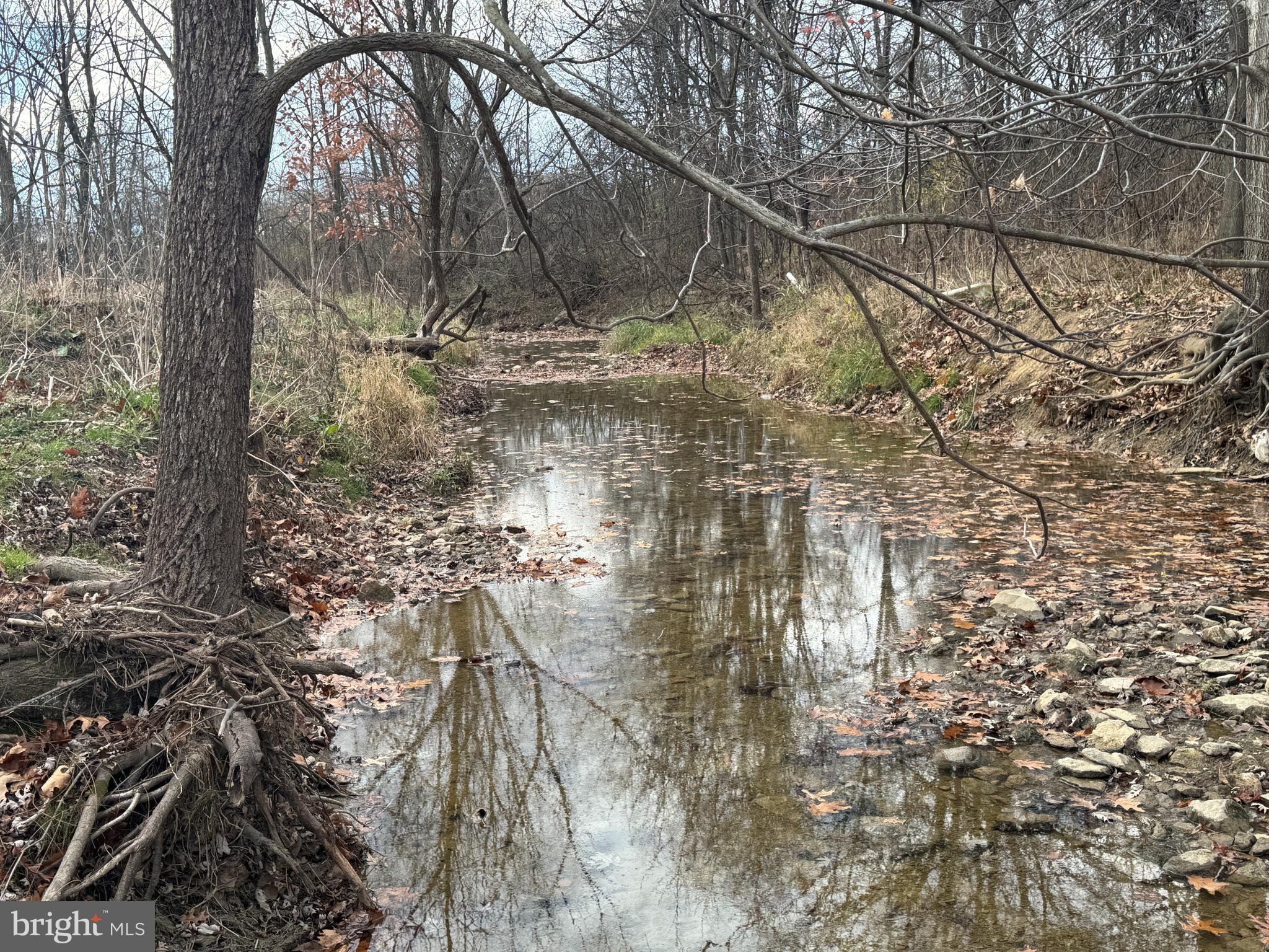 2 36.45 /- Acres Spring Run Rd Spring Run Dry Run, PA 17220 - Photo 18 of 23 a view of mountains
