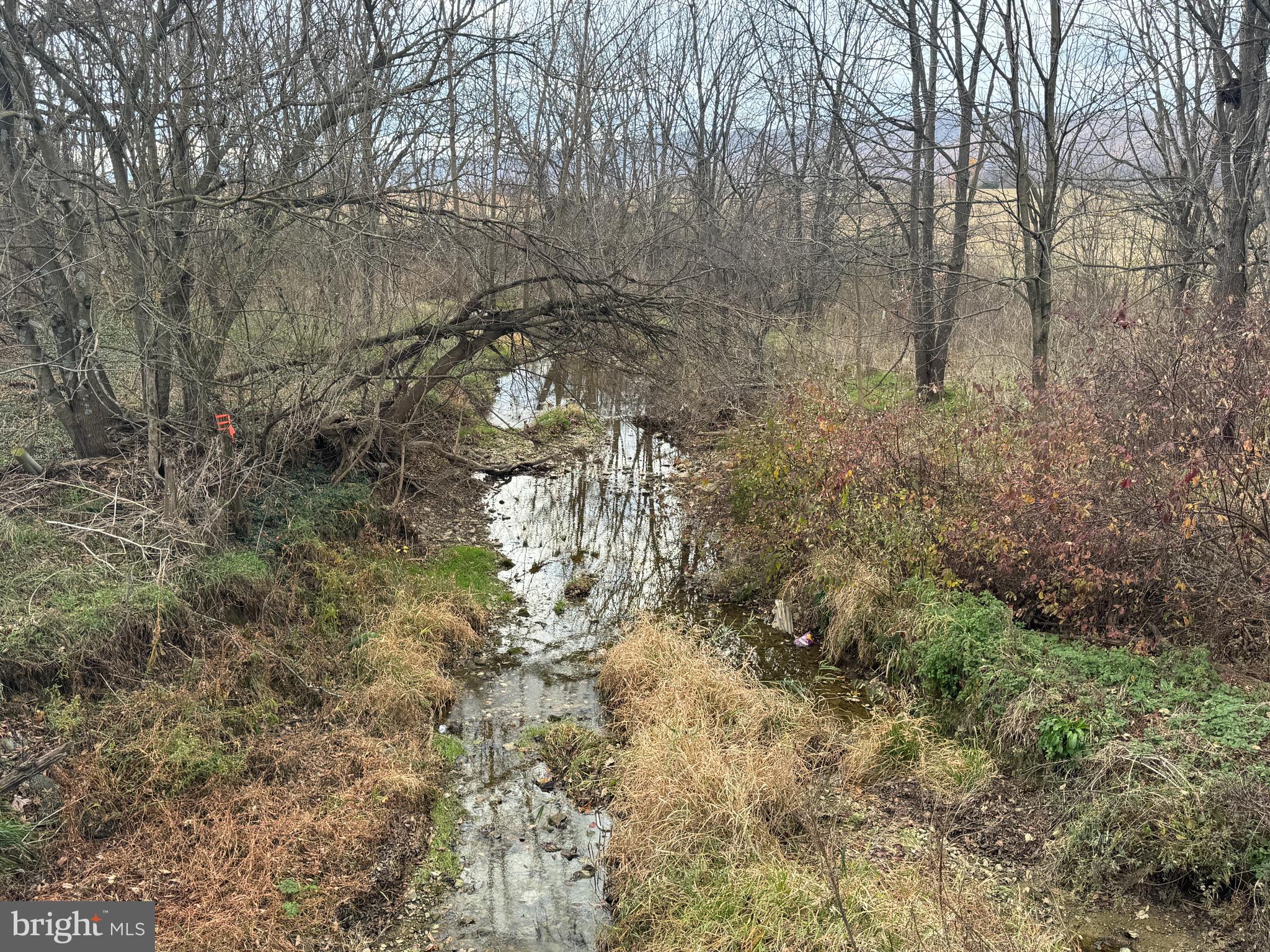 2 36.45 /- Acres Spring Run Rd Spring Run Dry Run, PA 17220 - Photo 22 of 23 a view of a yard with large trees