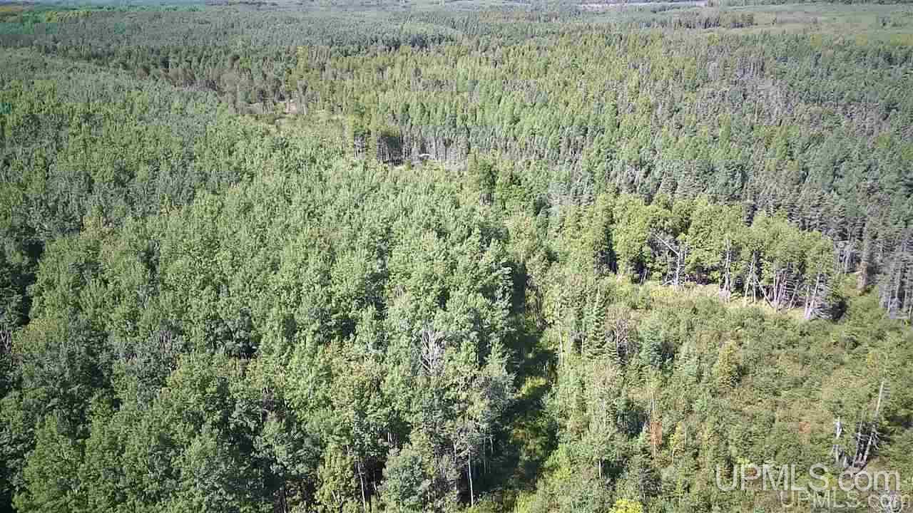 Tbd Off Of Co Rd 557, Unit 1 Arnold, MI 49819 - Photo 4 of 16