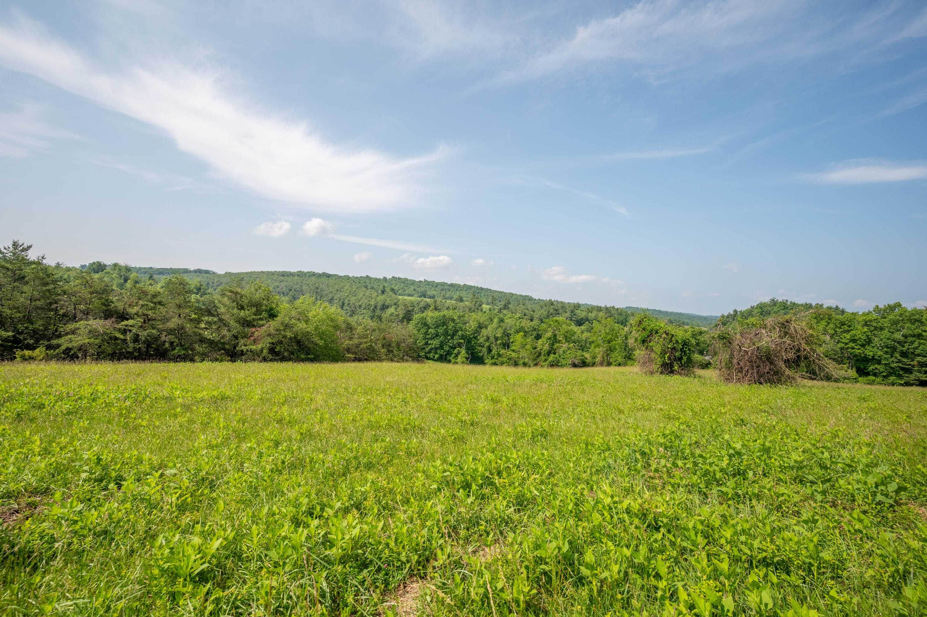 1073 Timberline Road Southeast Copper Hill, VA 24079 - Photo 10 of 56 9