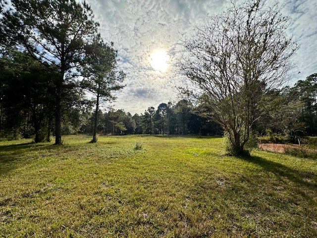 780 Hickory Hammock Road Carrabelle, FL 32322 - Photo 11 of 21 Gallery Image 11