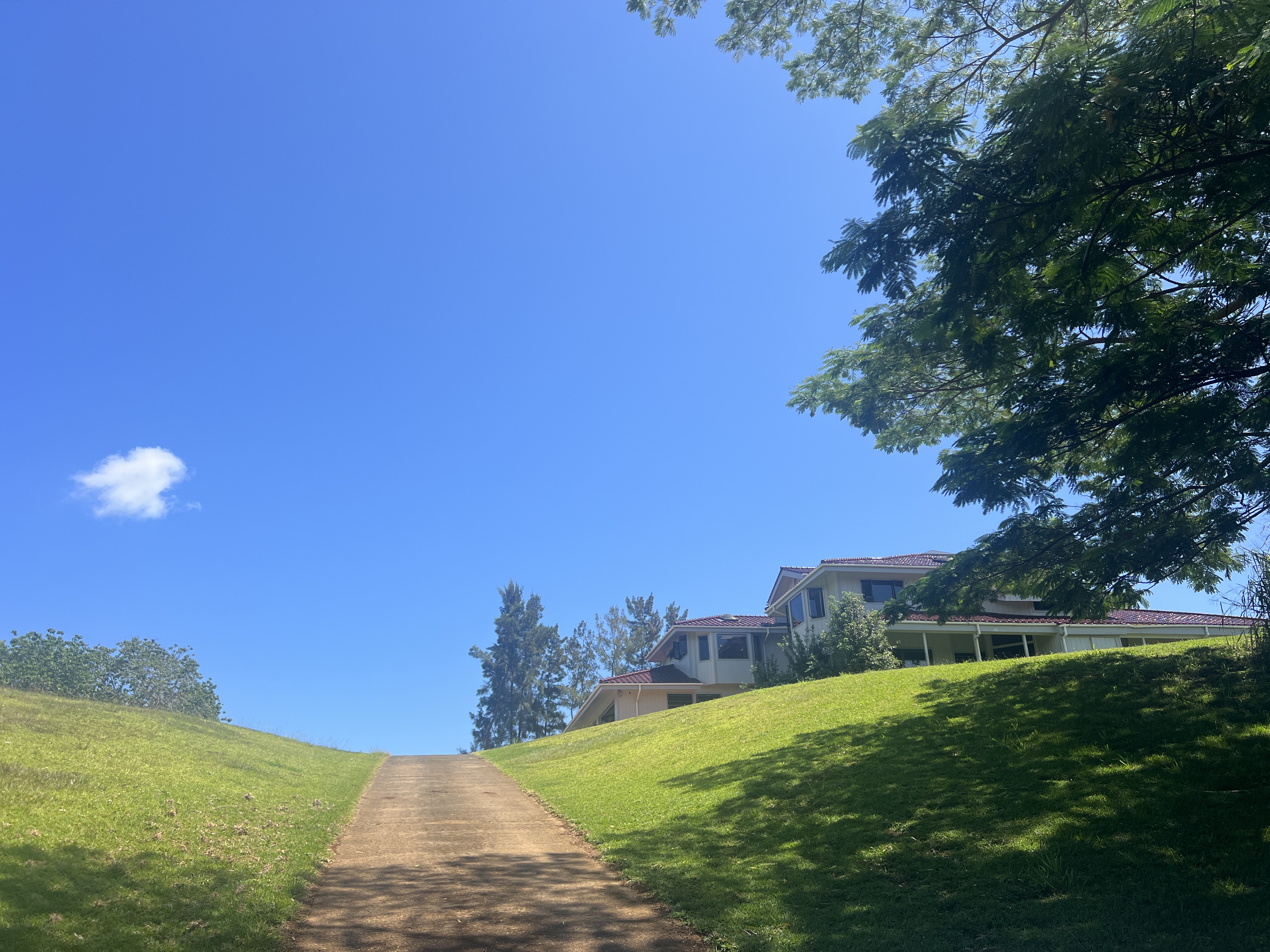5370 Kaehulua Road Kapaa, HI 96746 - Photo 4 of 25 a view of a grassy field with an trees
