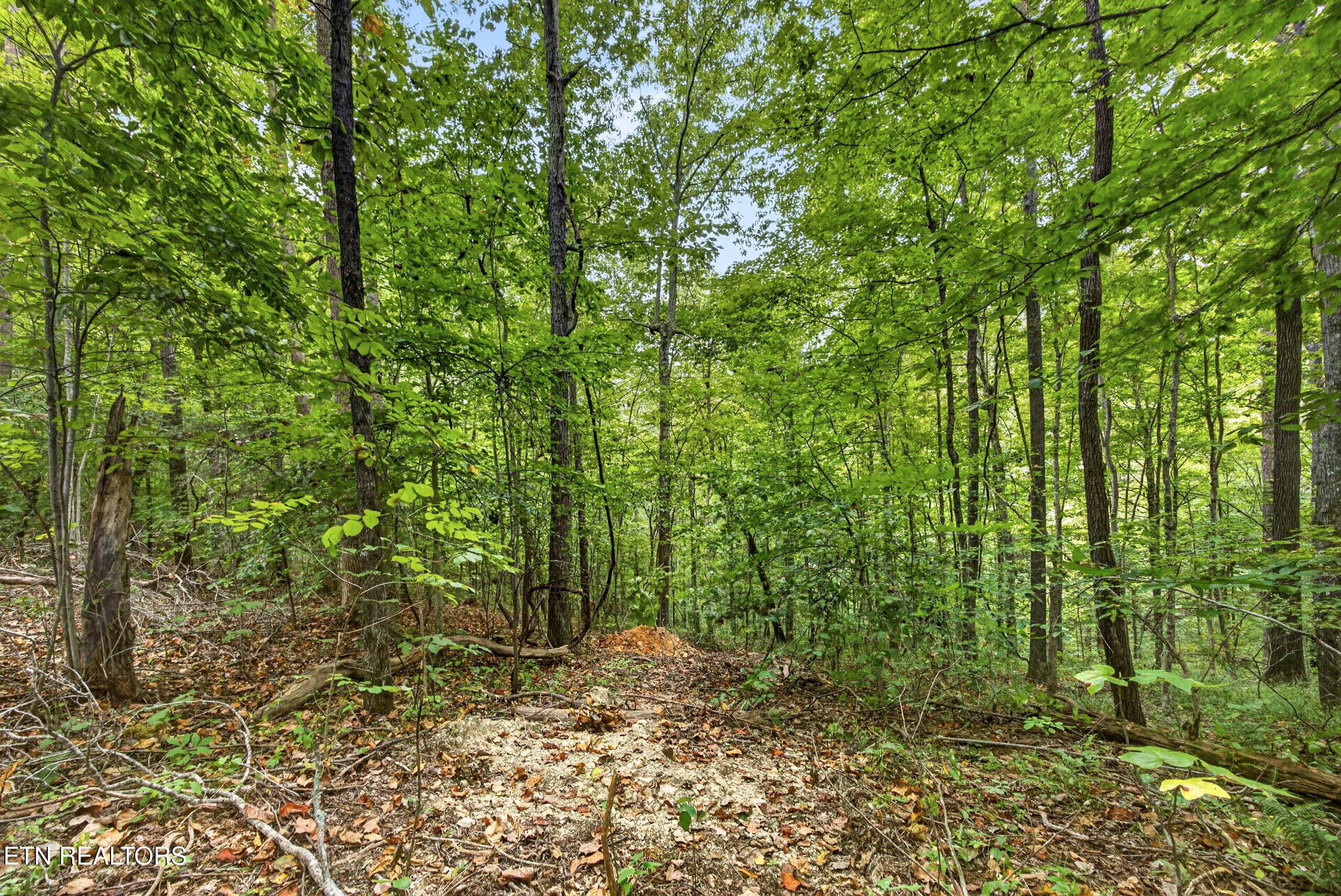 Lot 26 Timber Ridge Lane Celina, TN 38551 - Photo 10 of 12 9-8N5A6706