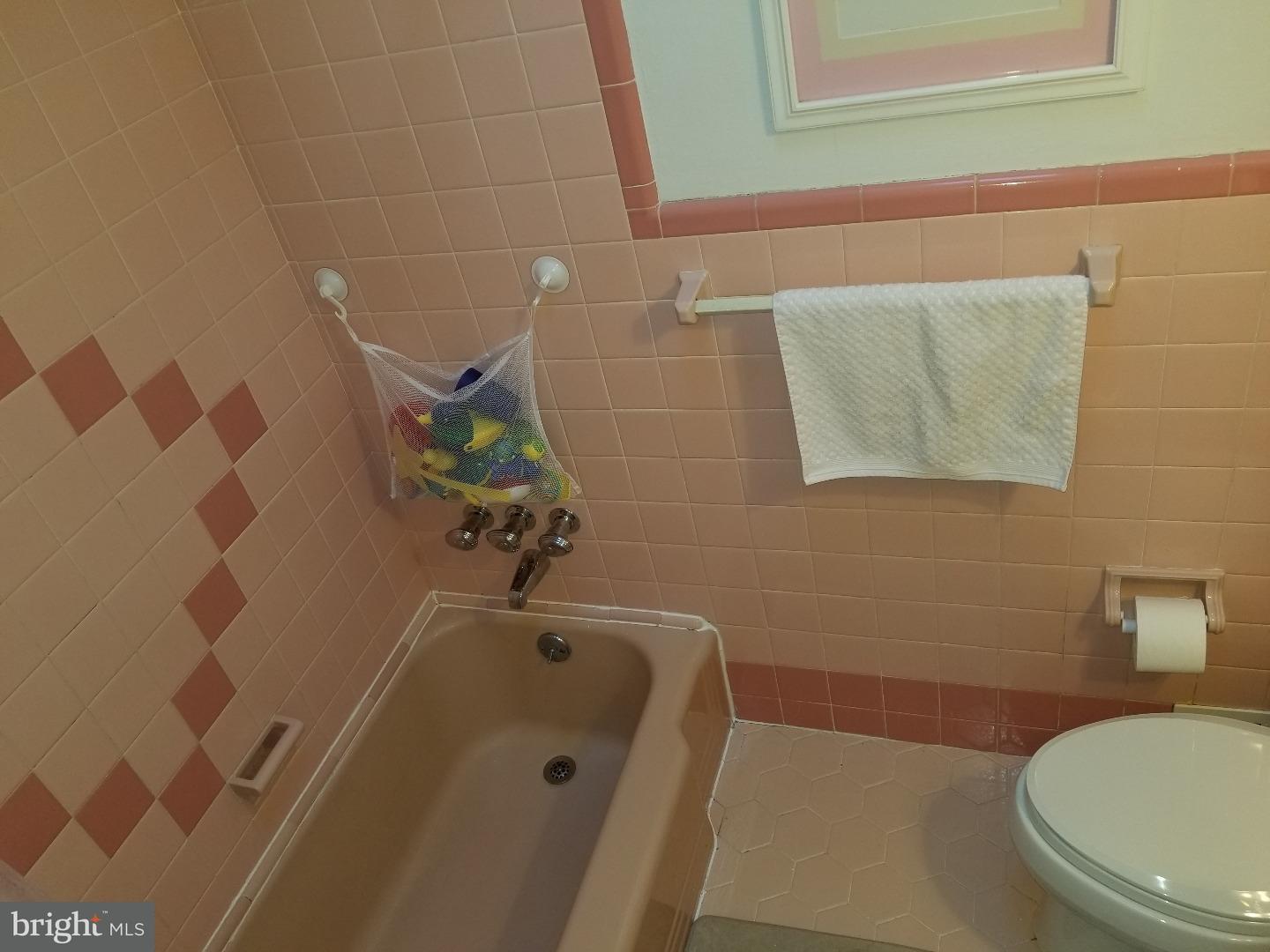 122 Botanic Court Upper Darby, PA 19082 - Photo 22 of 25 Bathroom