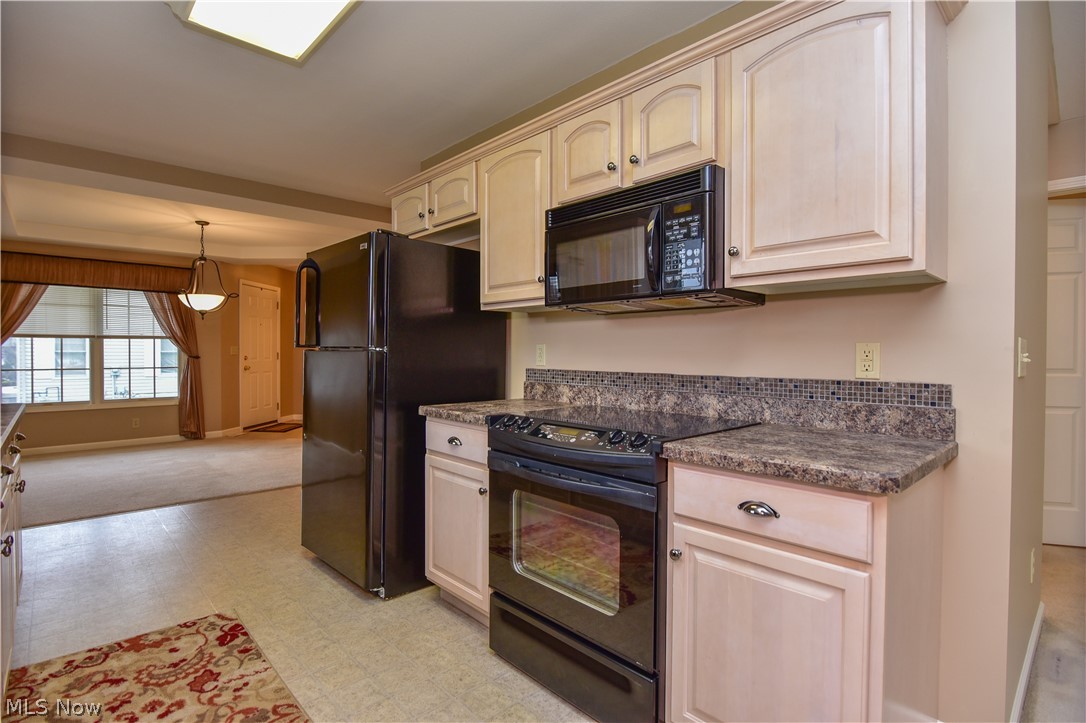 603 South Raccoon Road, Unit 5 Youngstown, OH 44515 - Photo 3 of 18 Gallery Image 3