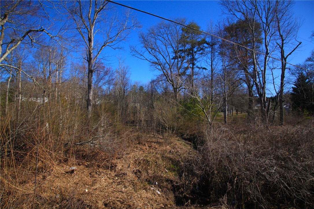 2.34-ac Off Pumpkintown Road Marietta, SC 29661 - Photo 3 of 9 Gallery Image 3
