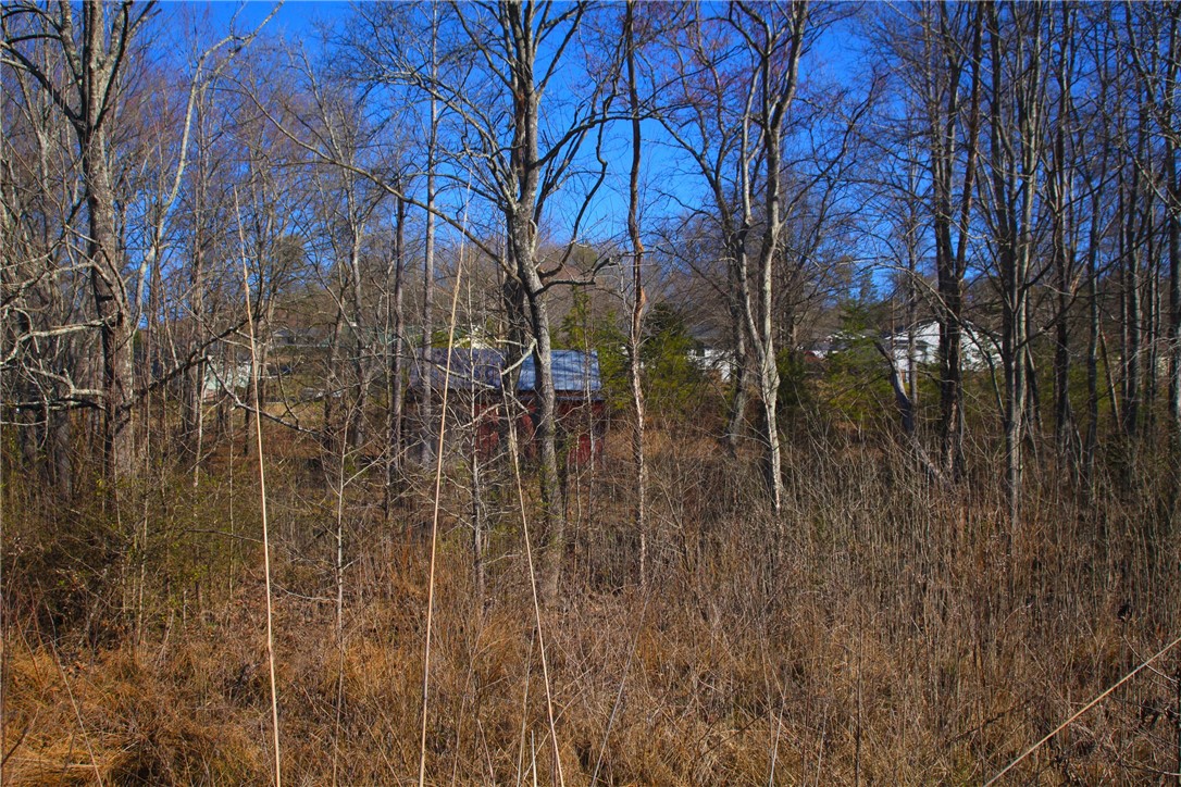 2.34-ac Off Pumpkintown Road Marietta, SC 29661 - Photo 4 of 9 Gallery Image 4