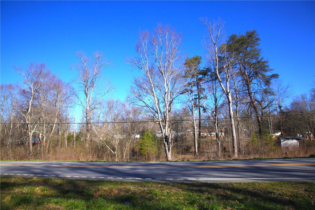 2.34-ac Off Pumpkintown Road Marietta, SC 29661 - Photo 6 of 9 Gallery Image 6