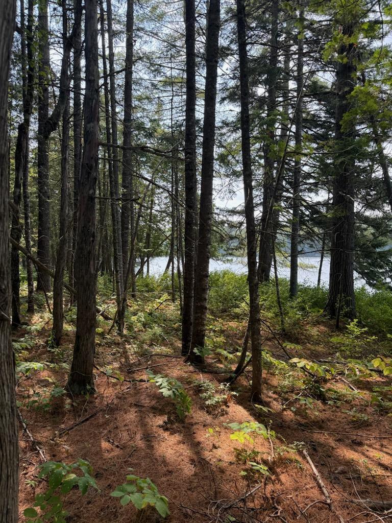 59 Mcdonald Road Parkman, ME 04443 - Photo 13 of 44 IMG950900