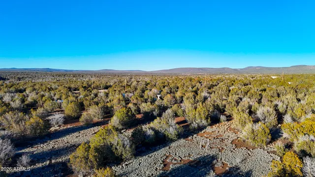 $31,999 | 2374 West Skyline Drive, Unit 59, Williams, AZ 86046