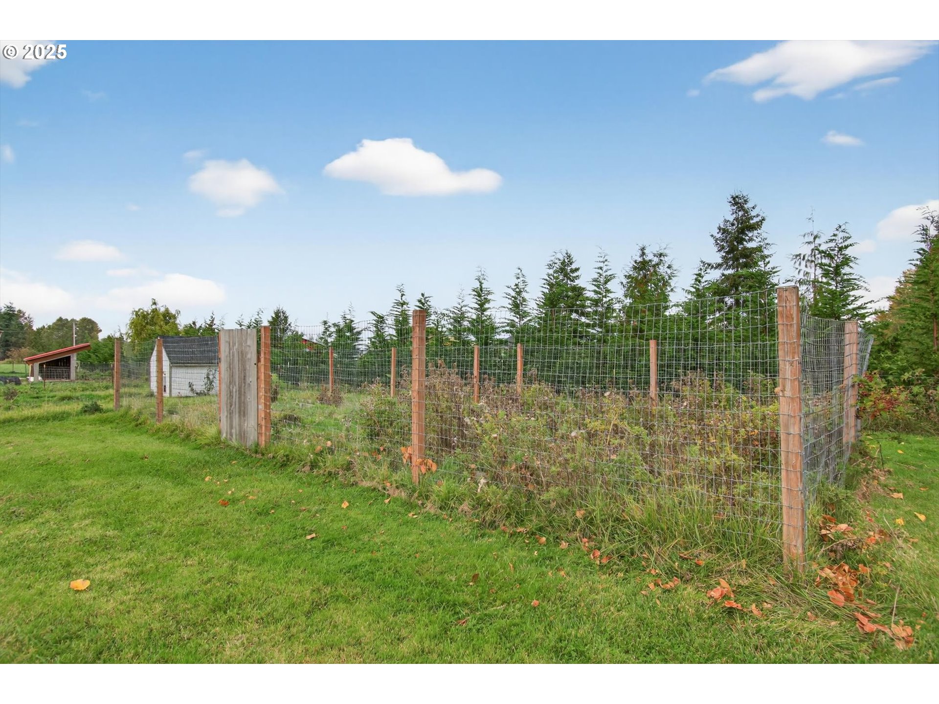 29 East Little Island Road Cathlamet, WA 98612 - Photo 39 of 47