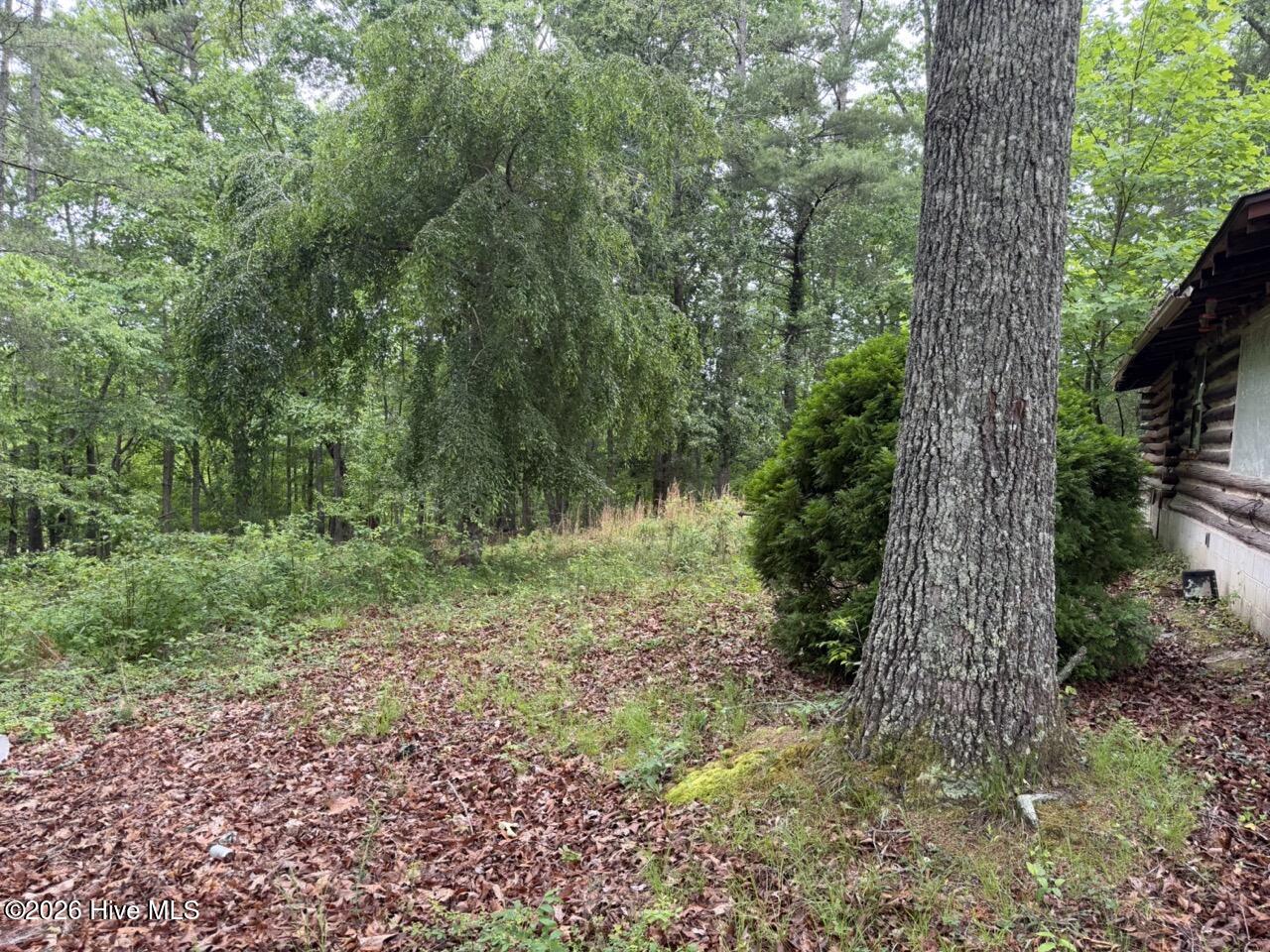 274 Snow Hill Ridge Road Murphy, NC 28906 - Photo 15 of 30