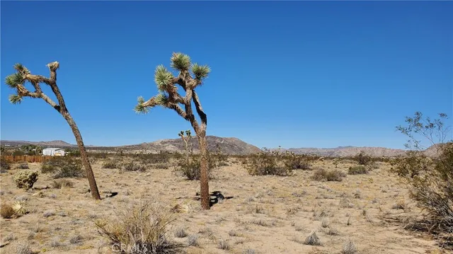 a view of a very nice looking yard
