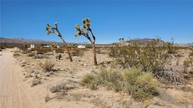 a view of a dry yard