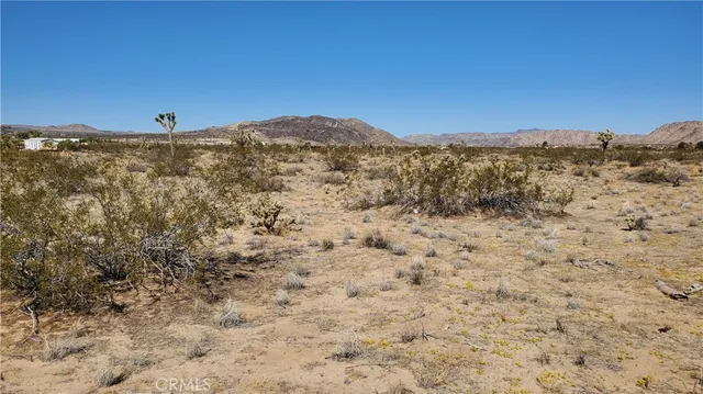 a view of a mountain