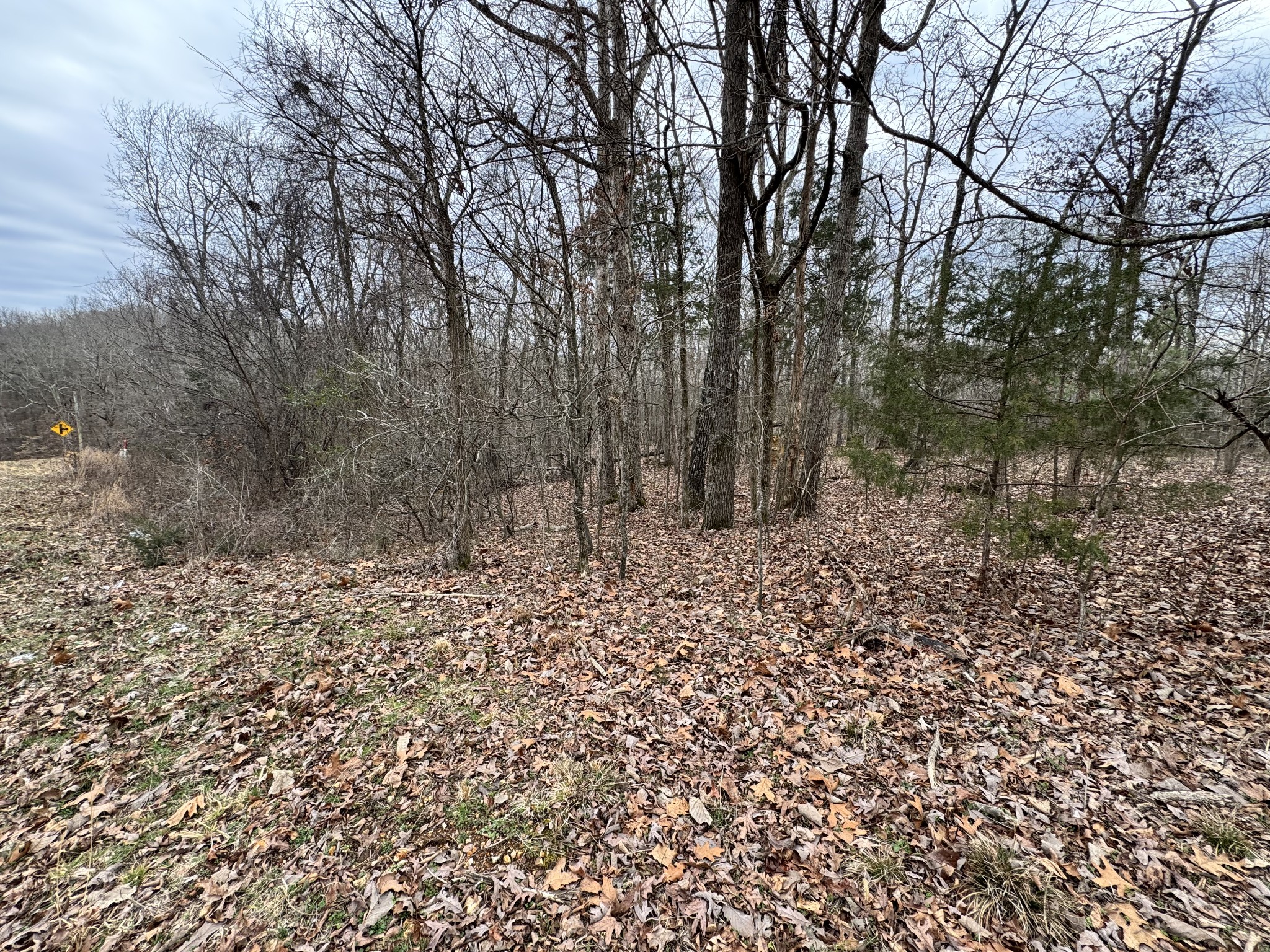 0 Alpine Road Camden, TN 38320 - Photo 3 of 5 Gallery Image 3