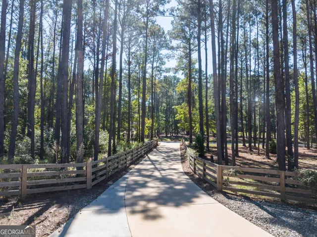 a view of a park with large trees