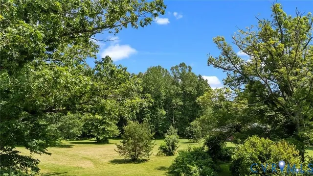 a view of a forest with a street