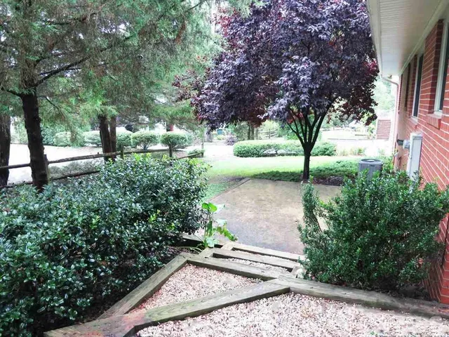 a view of a yard with plants and trees
