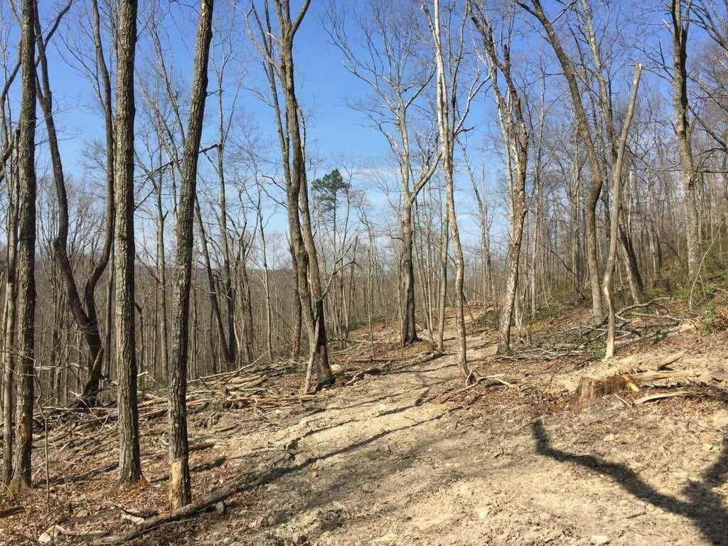 3006 Piney Grove Road Somerset, KY 42501 - Photo 36 of 52 35