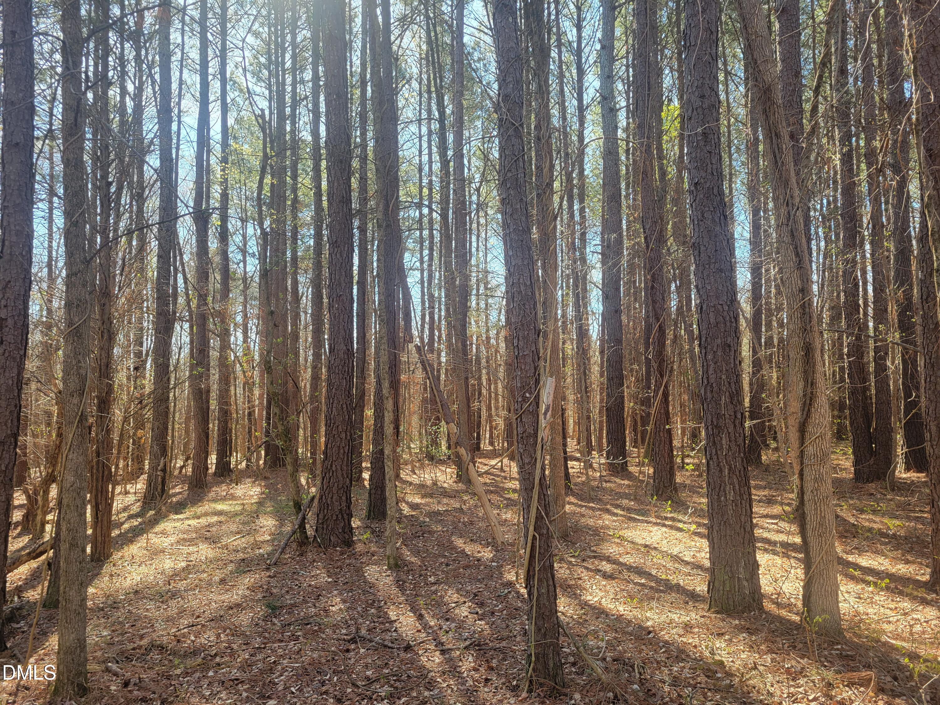 0 North Richardson Road Siler City, NC 27344 - Photo 12 of 33 a view of a backyard of the house