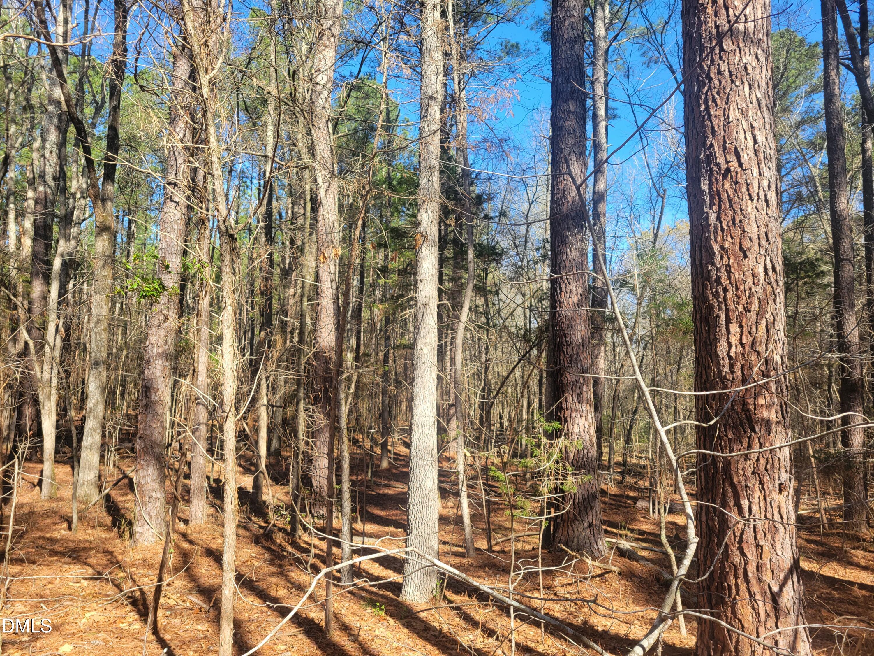 0 North Richardson Road Siler City, NC 27344 - Photo 13 of 33