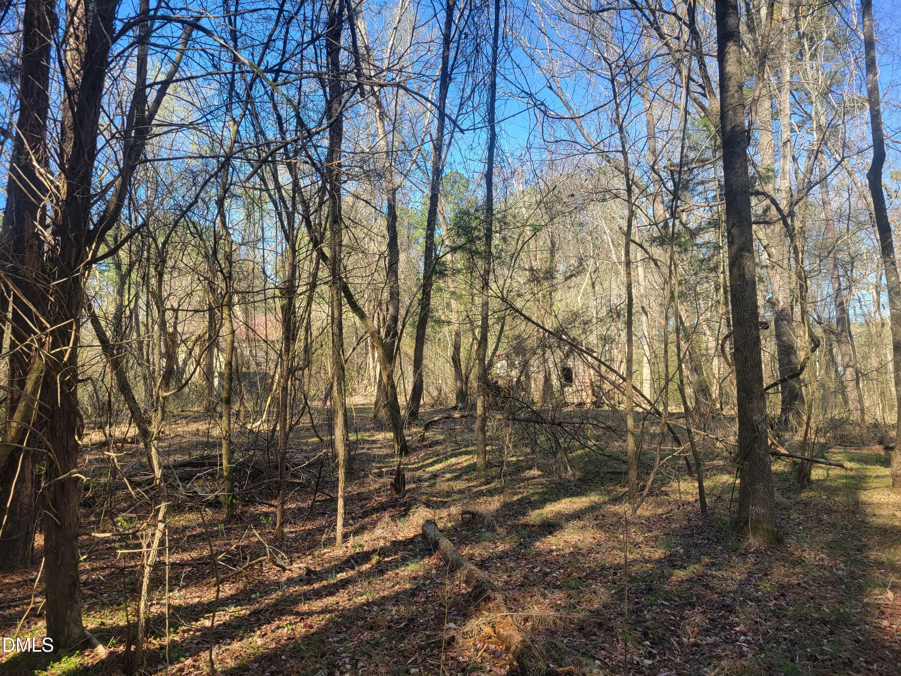 0 North Richardson Road Siler City, NC 27344 - Photo 13 of 33 a backyard of a house with lots of green space