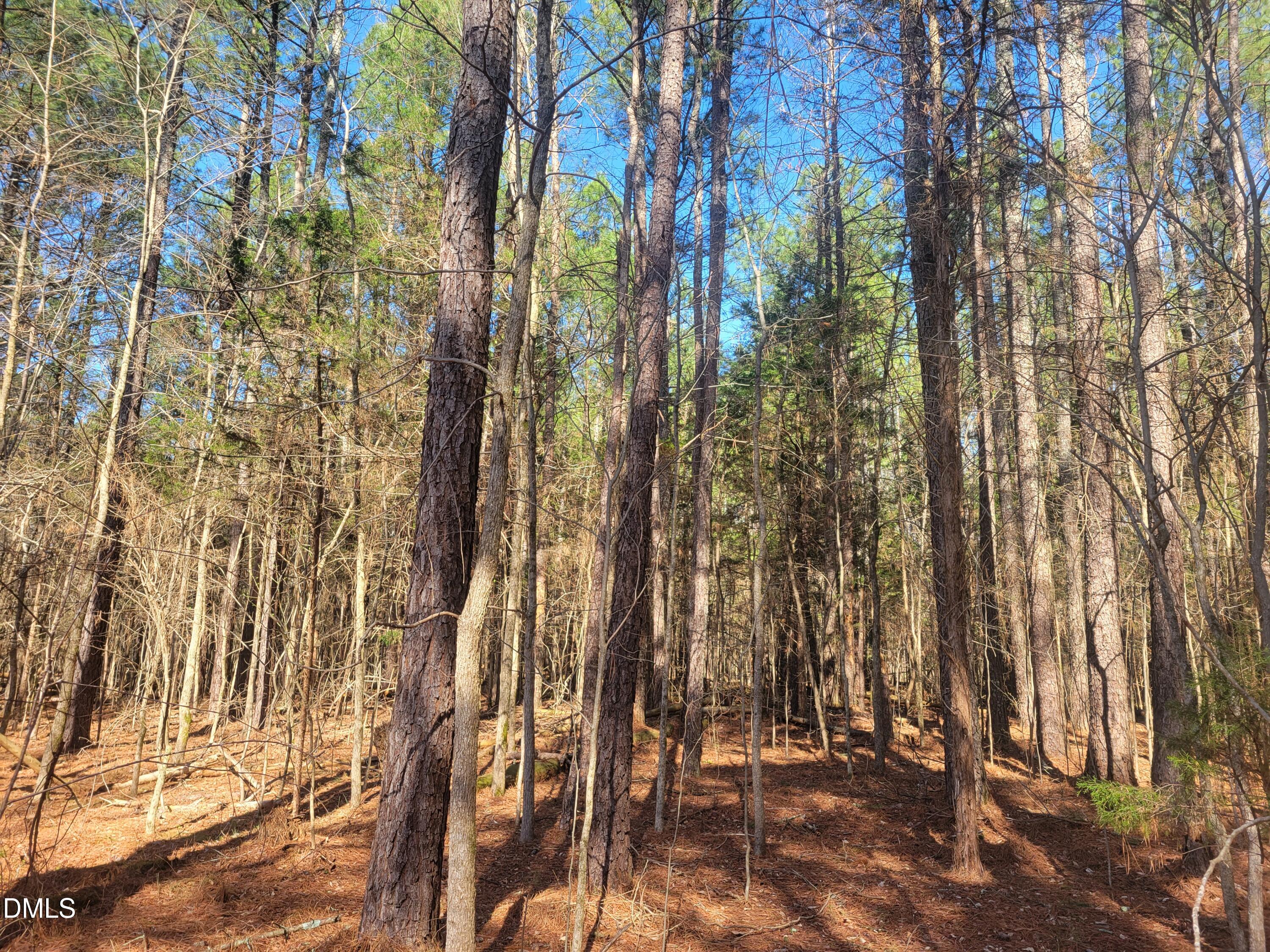 0 North Richardson Road Siler City, NC 27344 - Photo 16 of 33 a view of outdoor space