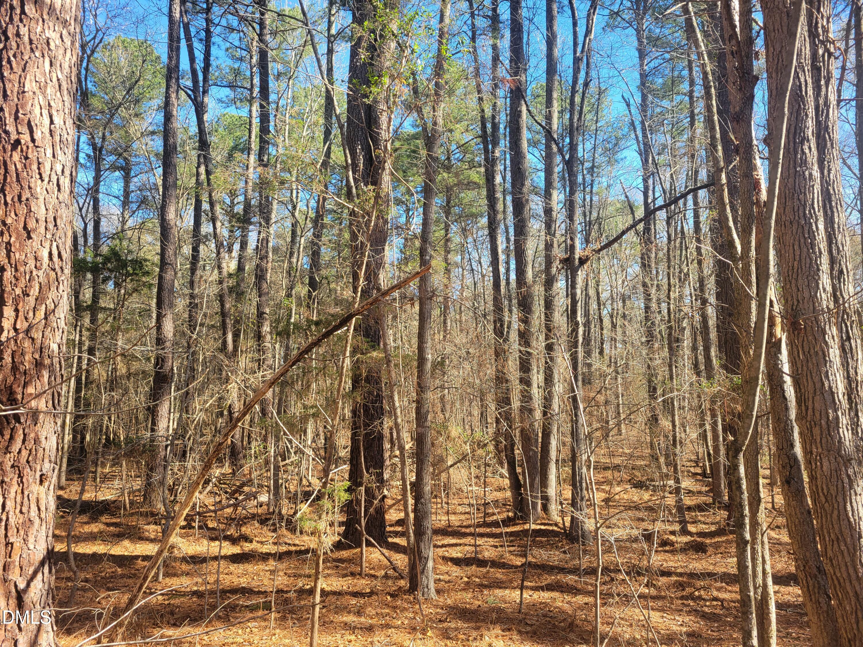 0 North Richardson Road Siler City, NC 27344 - Photo 16 of 33 a view of a yard with street and trees