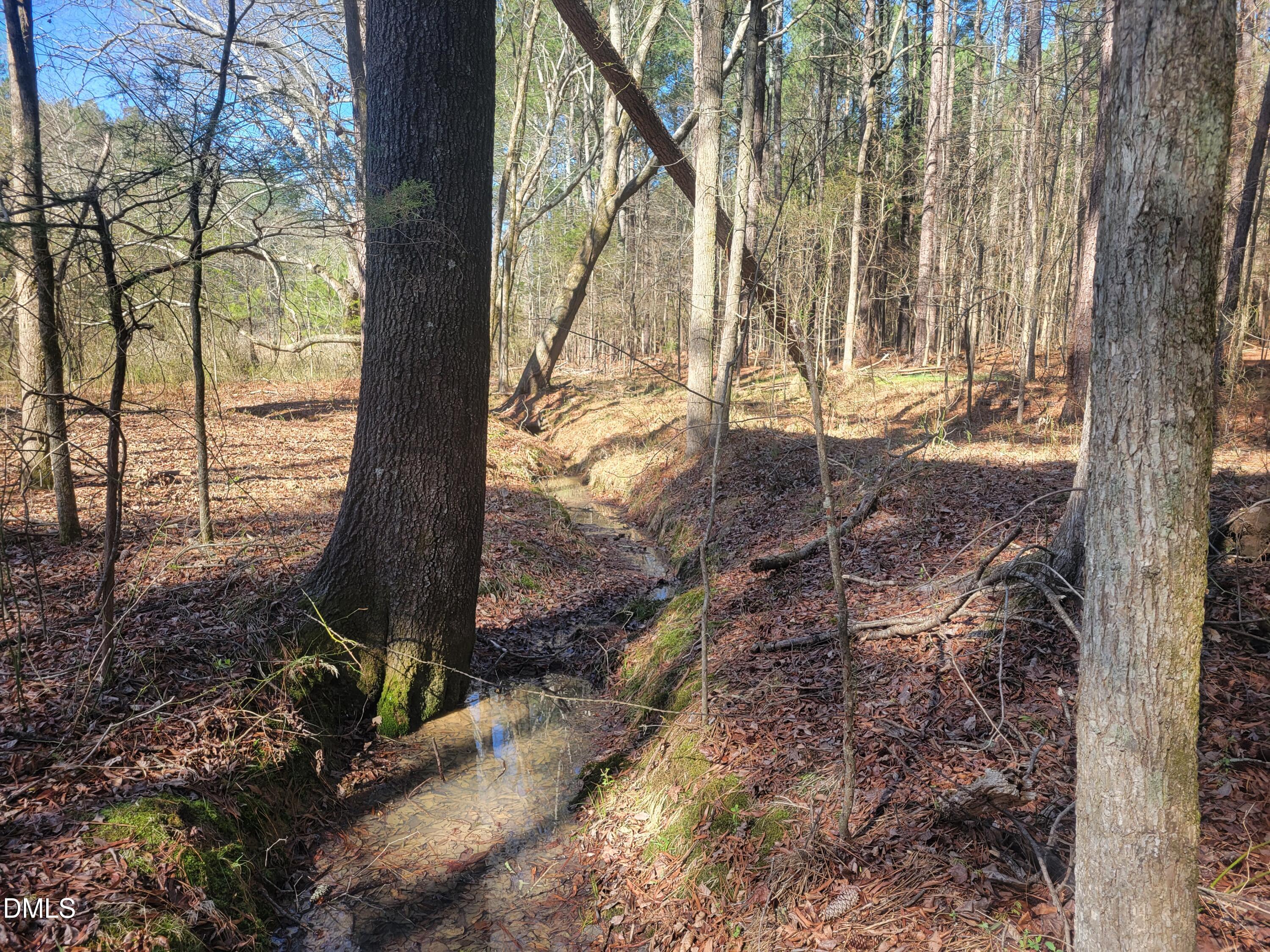 0 North Richardson Road Siler City, NC 27344 - Photo 17 of 33 a view of backyard with tree