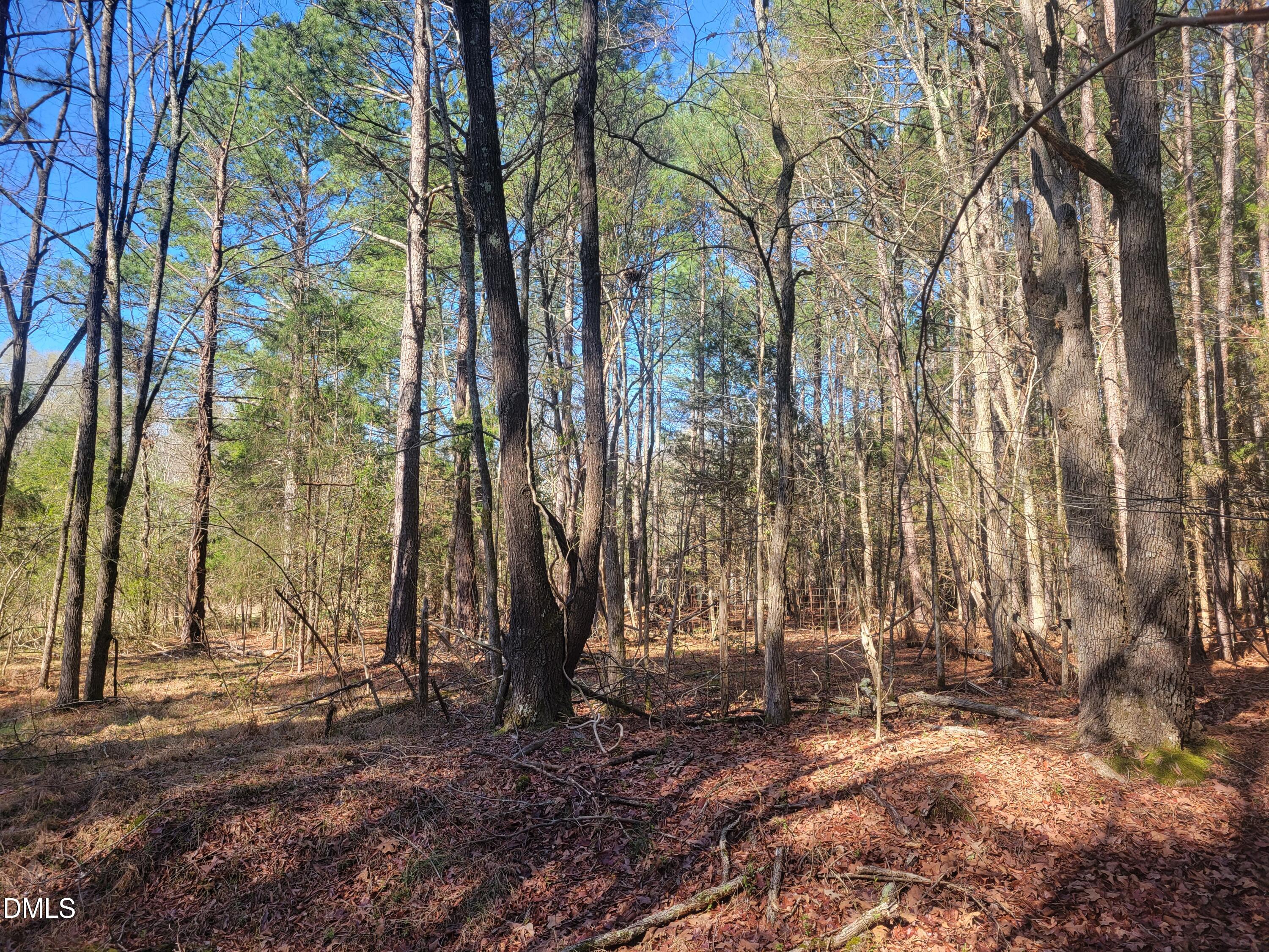 0 North Richardson Road Siler City, NC 27344 - Photo 19 of 33 a backyard of a house with lots of green space
