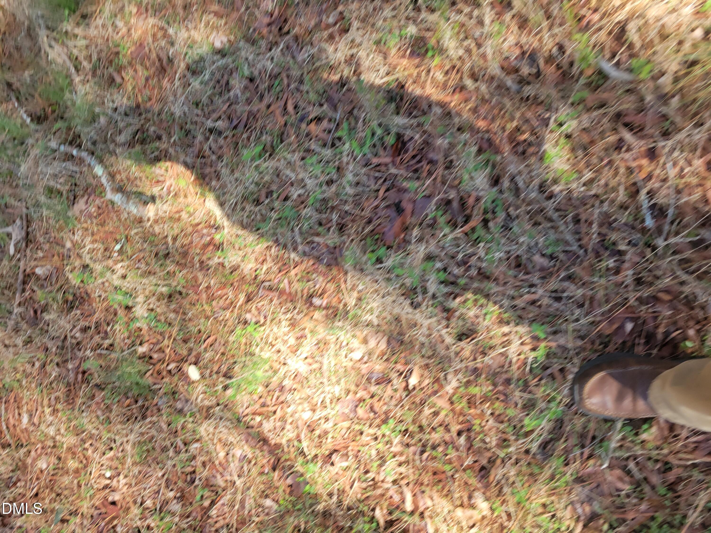 0 North Richardson Road Siler City, NC 27344 - Photo 20 of 33 a view of a yard with a tree