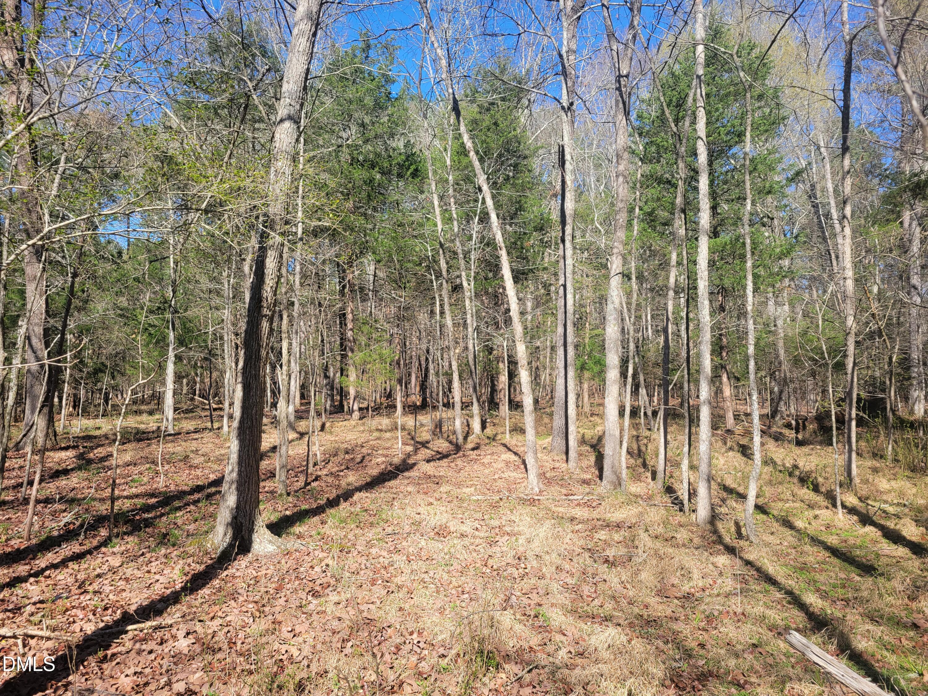 0 North Richardson Road Siler City, NC 27344 - Photo 23 of 33 a view of a park with a tree