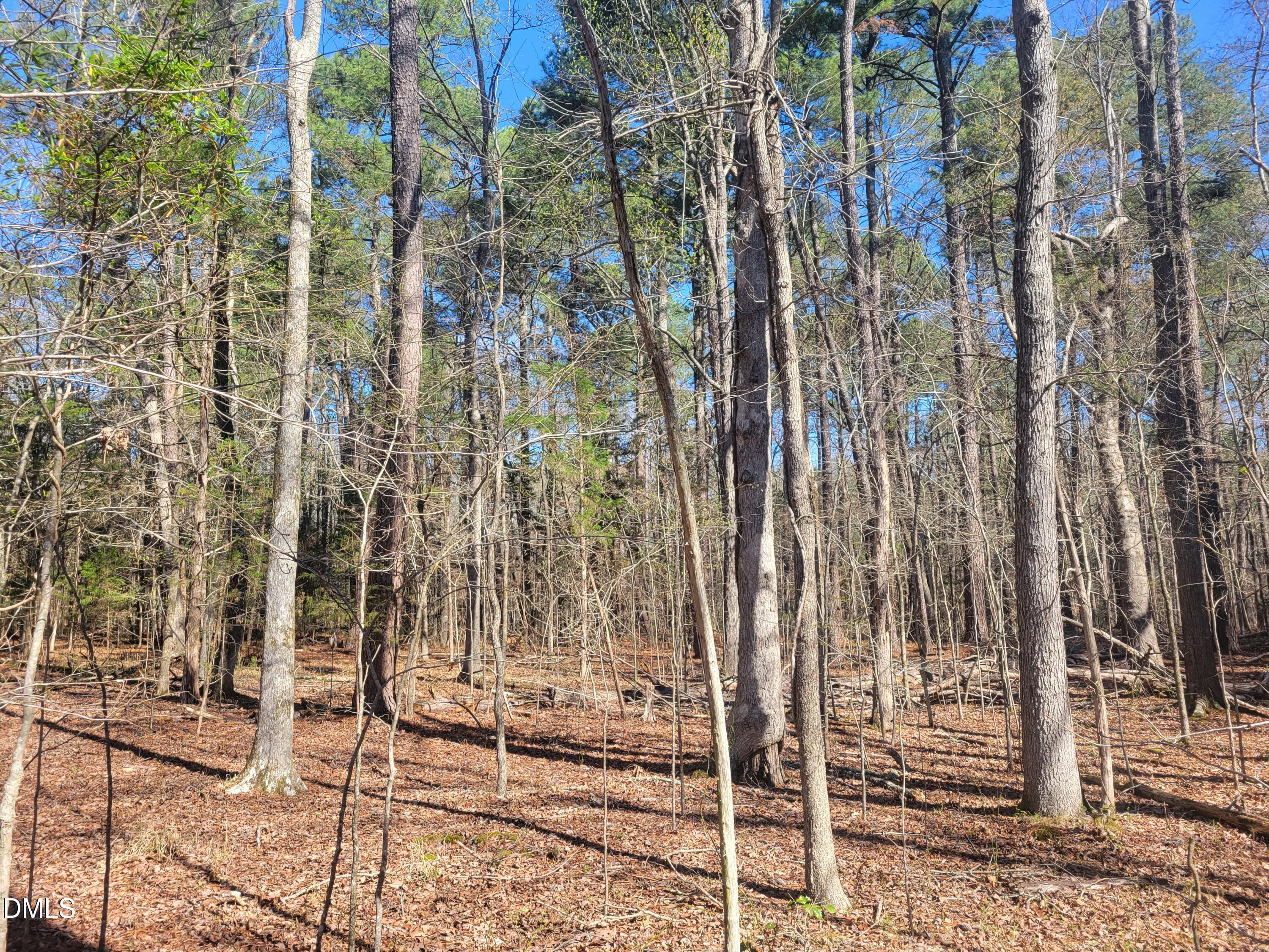 0 North Richardson Road Siler City, NC 27344 - Photo 24 of 33 a view of house with backyard