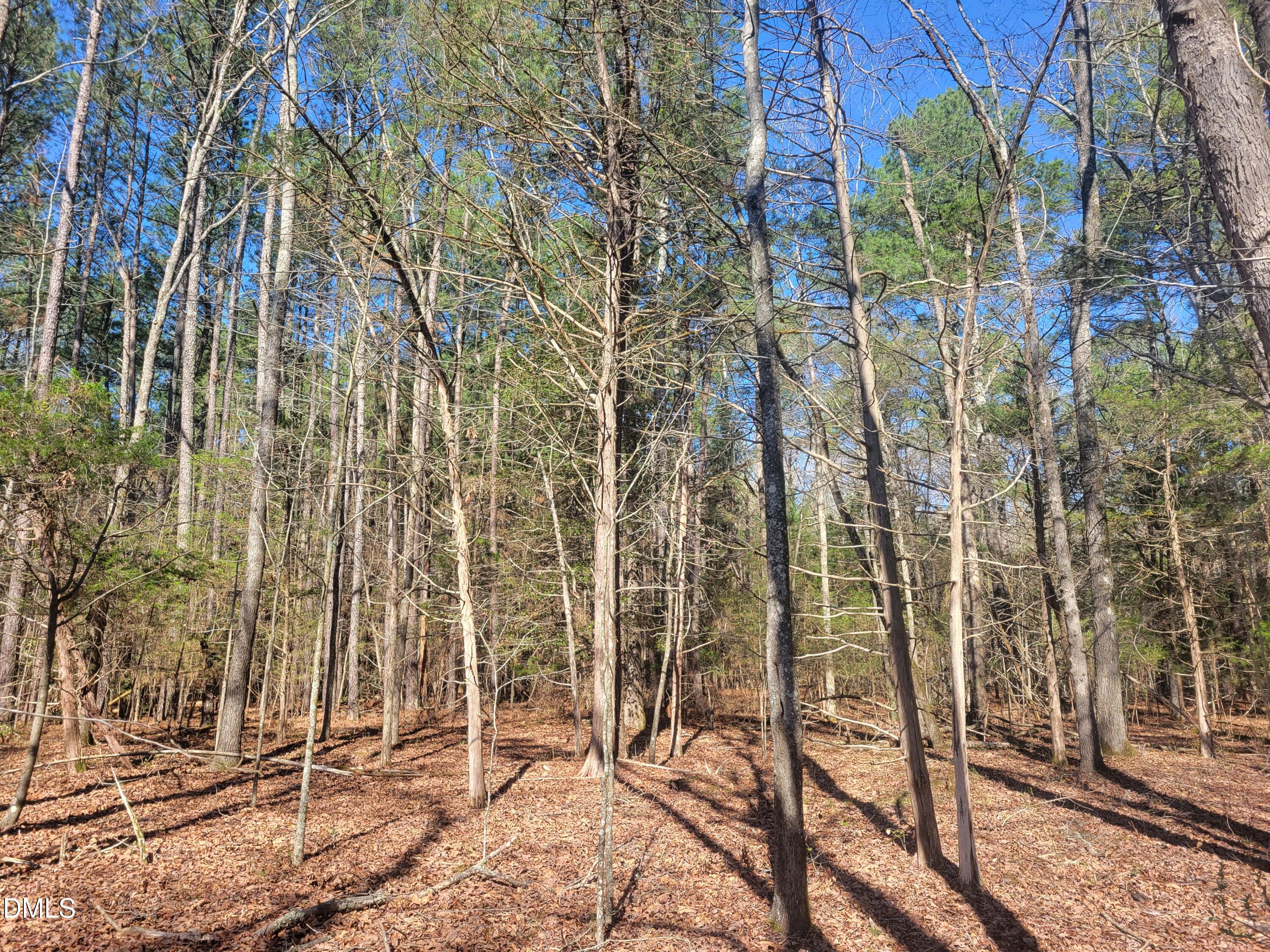 0 North Richardson Road Siler City, NC 27344 - Photo 24 of 33 a view of a outdoor space with a street view