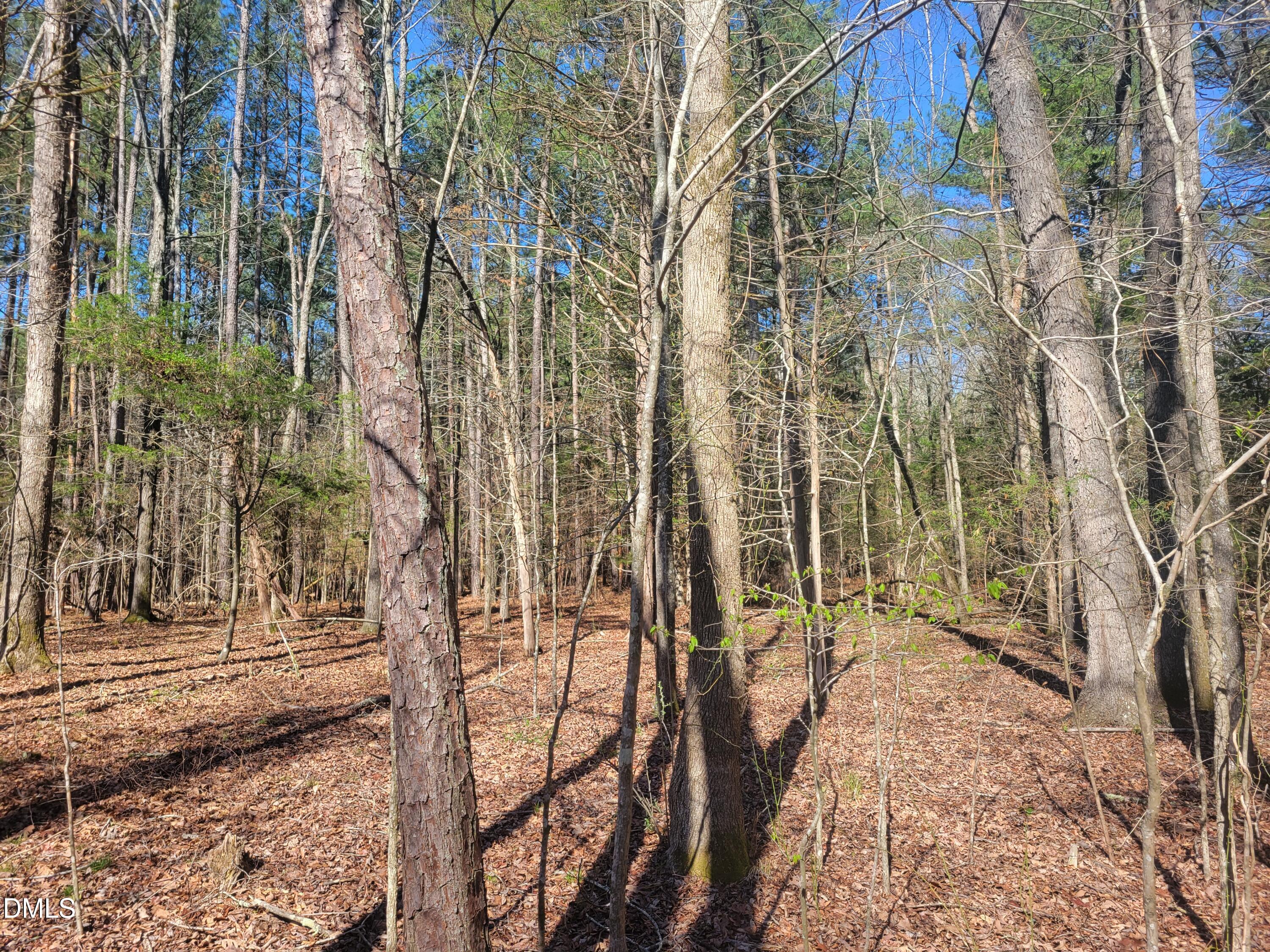 0 North Richardson Road Siler City, NC 27344 - Photo 25 of 33