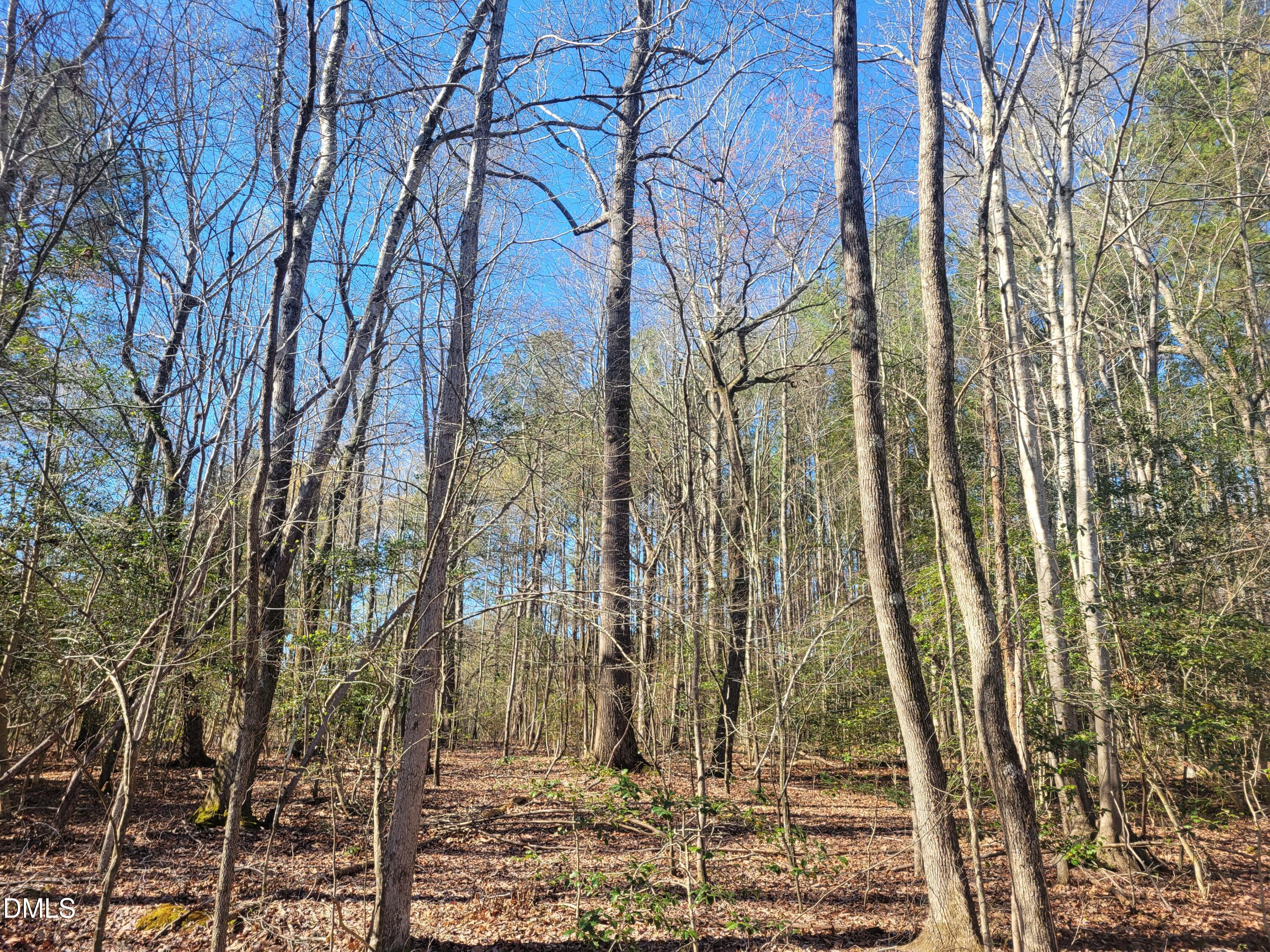 0 North Richardson Road Siler City, NC 27344 - Photo 27 of 33 a backyard of a house with lots of green space