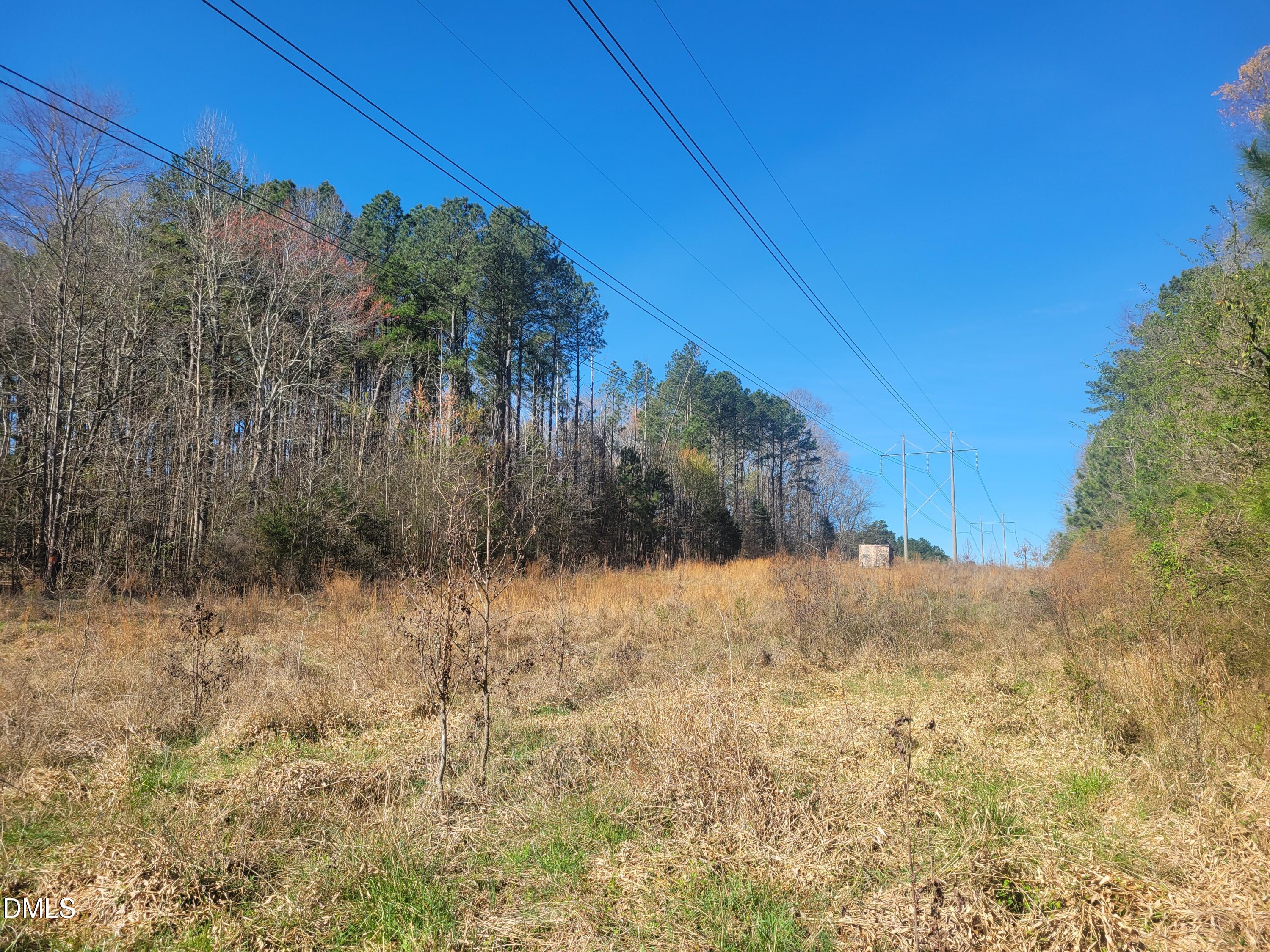 0 North Richardson Road Siler City, NC 27344 - Photo 27 of 33 a view of a yard
