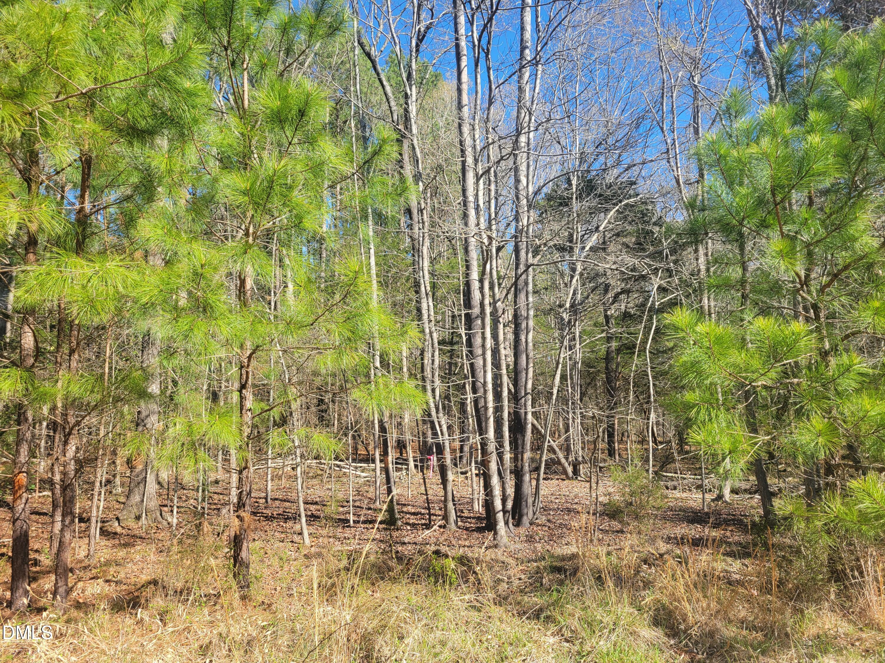 0 North Richardson Road Siler City, NC 27344 - Photo 28 of 33 a view of outdoor space with garden